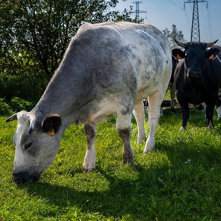 Geetkotmolenhoeve Lochristi Eksteriør bilde